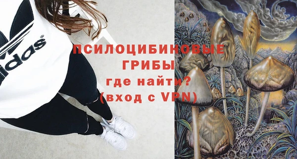 гашик Аркадак