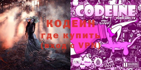 гашик Аркадак